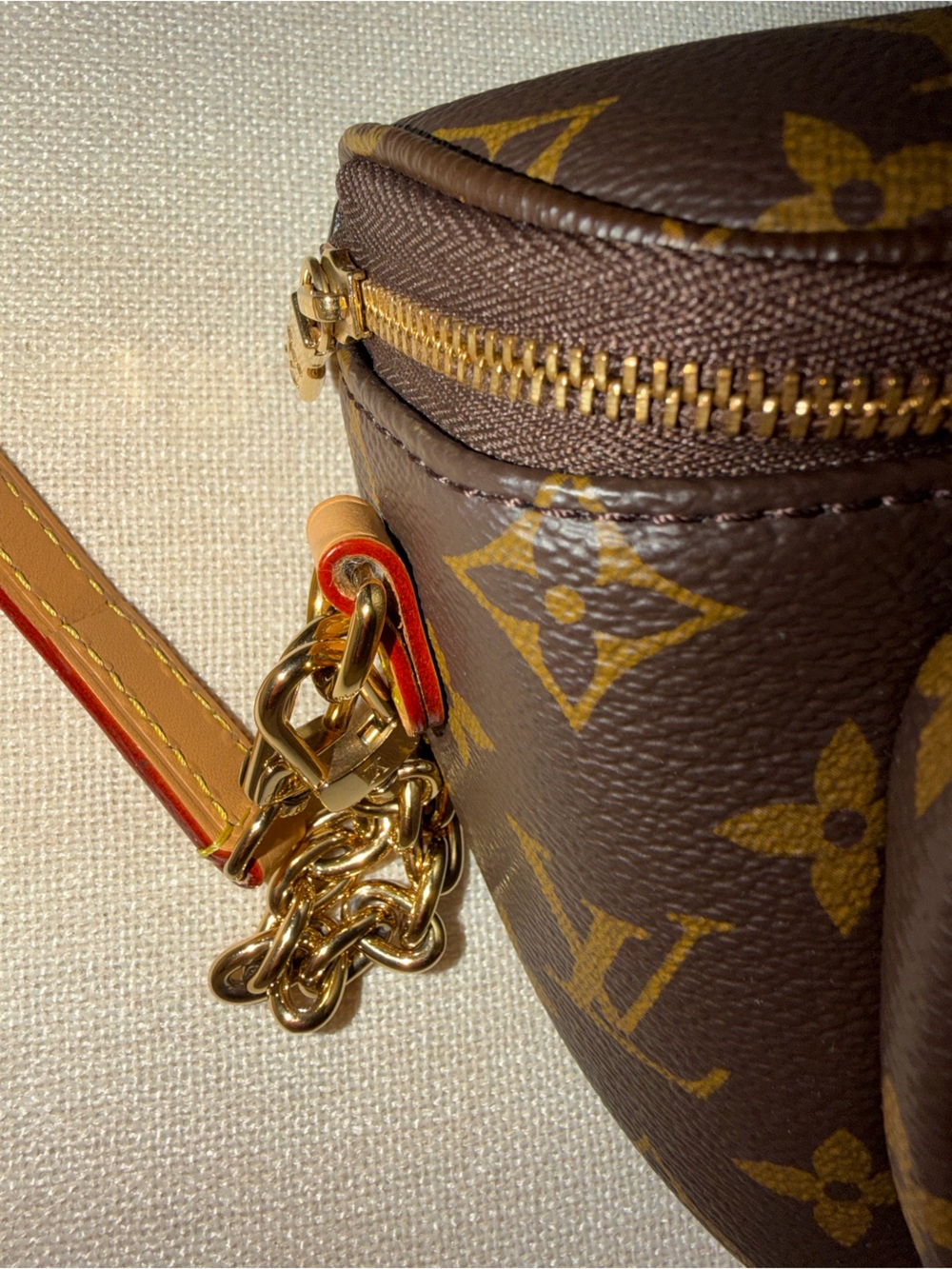 Louis Vuitton Monogram Mini Bag - Brown & Tan - Picture 8 of 13